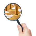 Lupy a citlivá pokožka